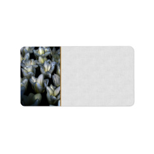 Dark Beauty Label