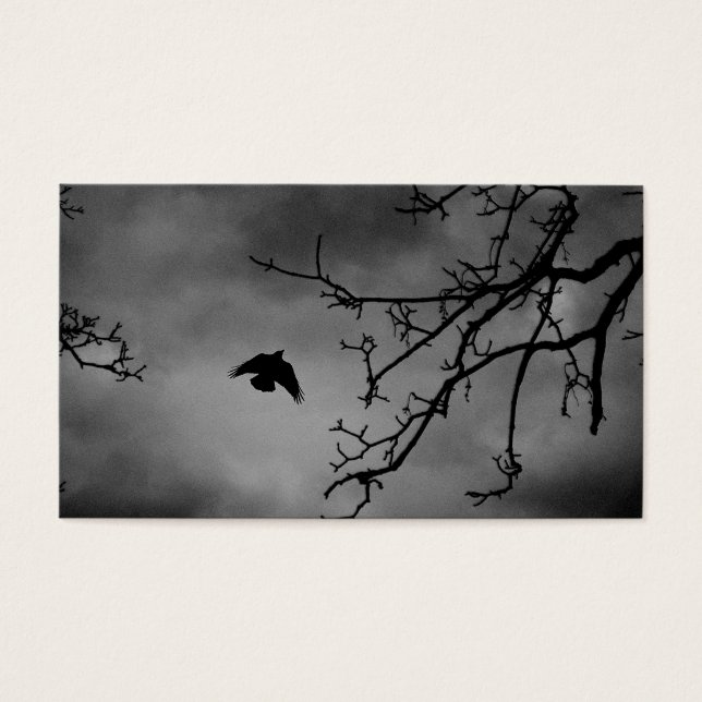 Dark Bird in Flight (Front)