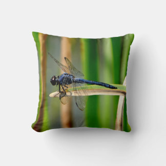 Dark blue dragonfly, green pillow