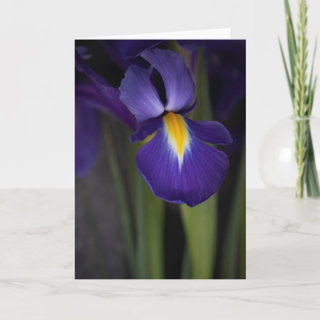 Dark Blue Iris Flower Bouquet Card (Front)