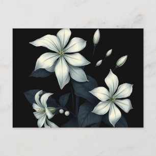 Dark Botanical of Night Blooming Jasmine Postcard