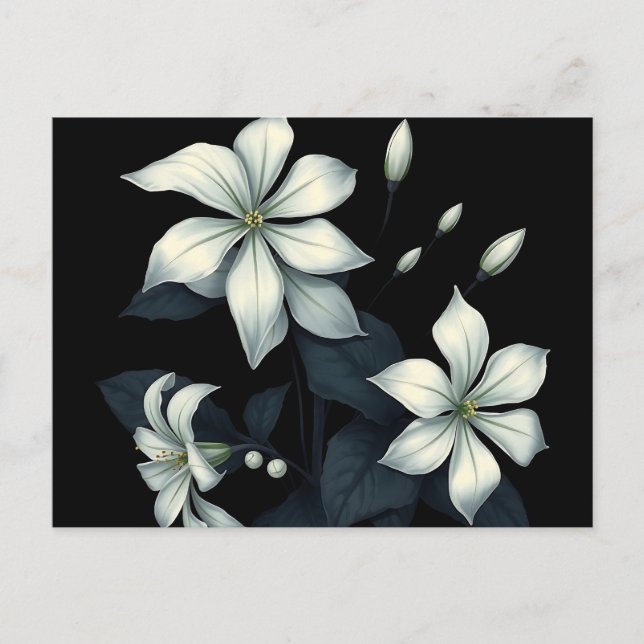 Dark Botanical of Night Blooming Jasmine  Postcard (Front)