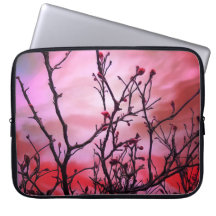 Dark Branches Red Buds And Fiery Sky