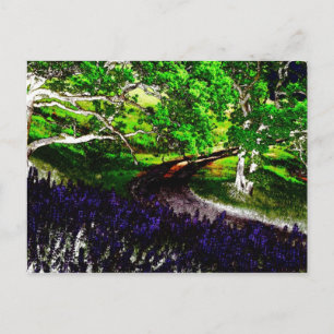 dark bright 1 postcard