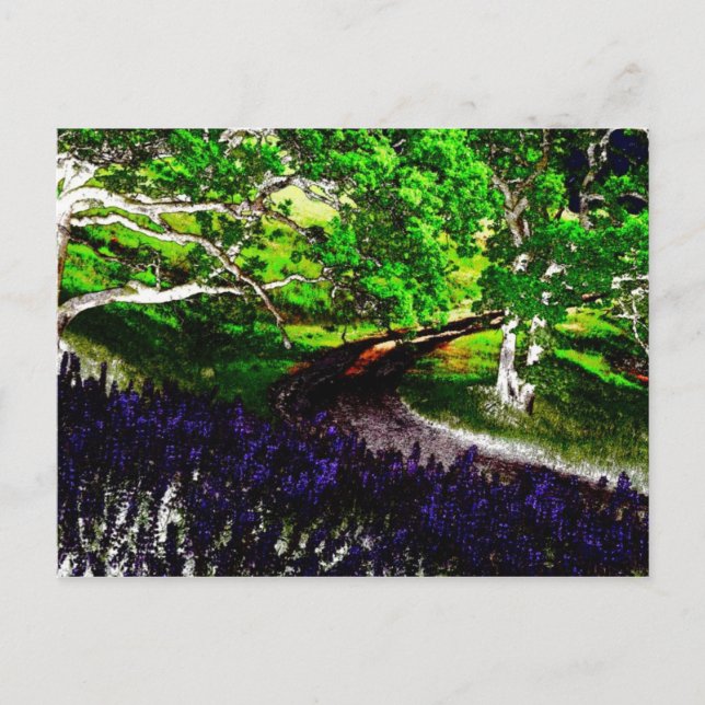 dark bright 1 postcard (Front)