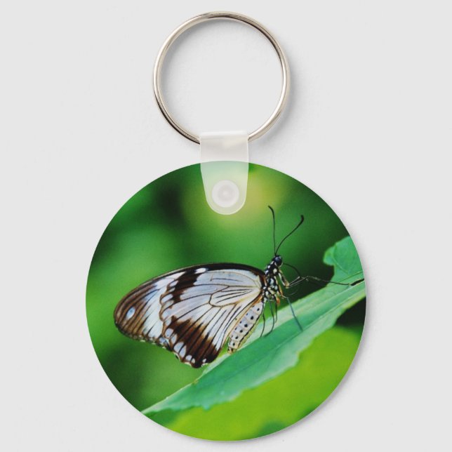 Dark Brown and Gray Butterfly Key Ring (Front)