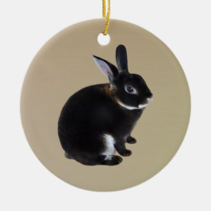 Dark Brown and White Mini Rex Rabbit Ceramic Tree Decoration