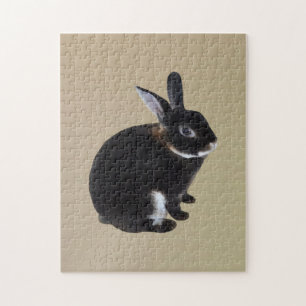 Dark Brown and White Mini Rex Rabbit Jigsaw Puzzle