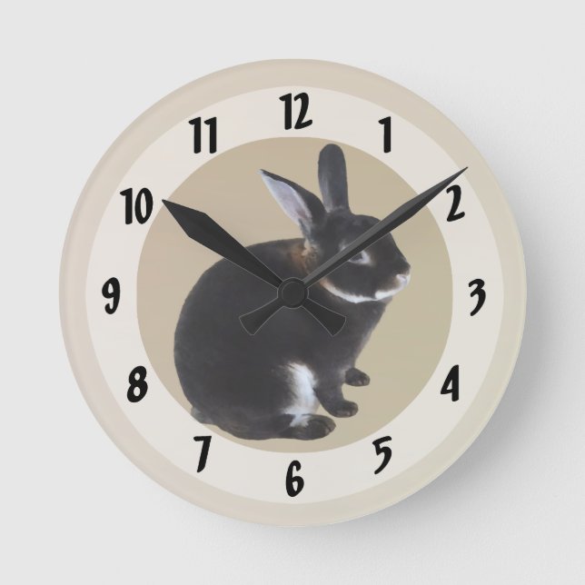 Dark Brown and White Mini Rex Rabbit Round Clock (Front)