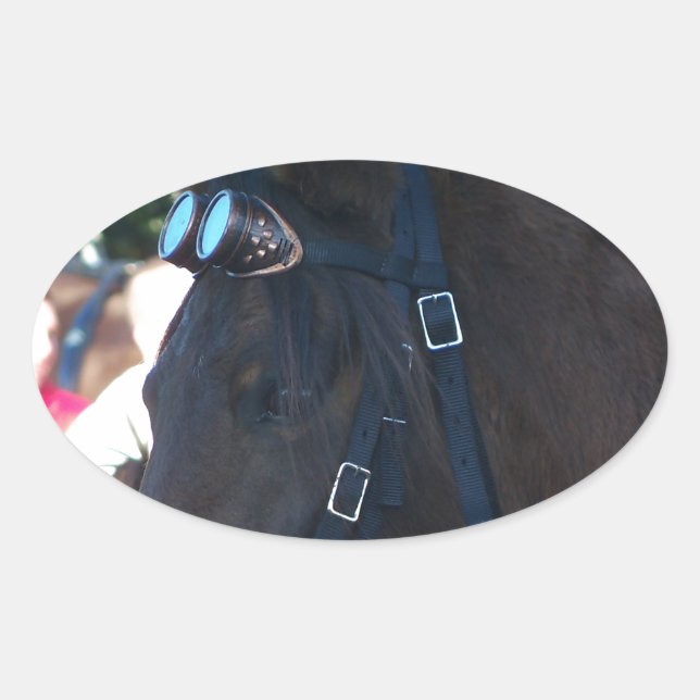 Dark Brown Arabian Horse wearing goggles Oval Sticker (Front)