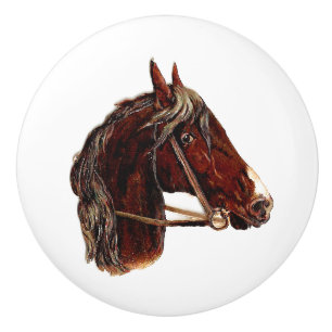 Dark brown horse head portrait vintage art ceramic knob