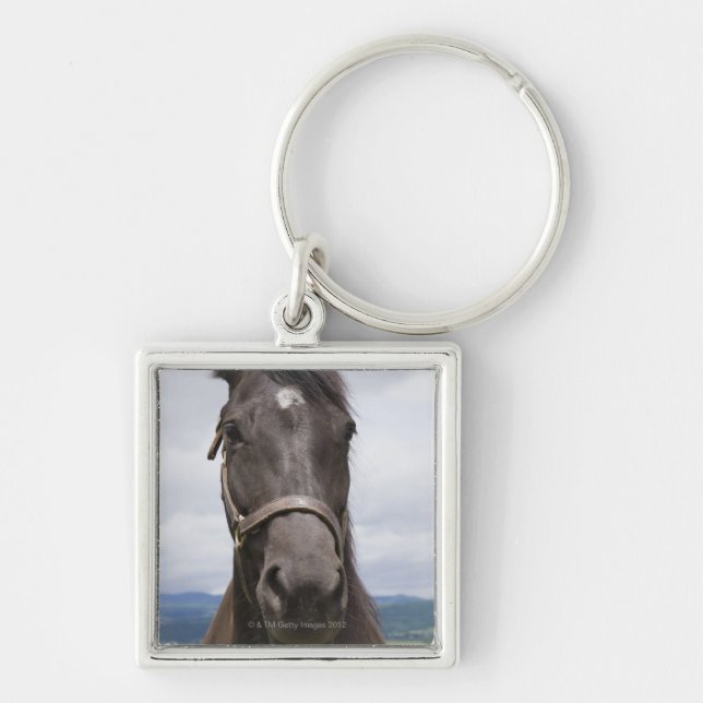 Dark Brown Horse Key Ring (Front)