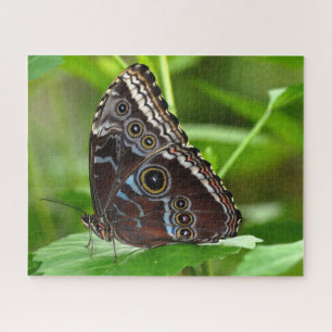 Dark Butterfly Sitting on Leaf Jigsaw Puzzle