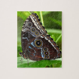 Dark Butterfly Sitting on Leaves in Nature Jigsaw Puzzle