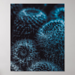 Dark Cactus Poster