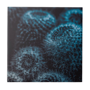 Dark Cactus Tile
