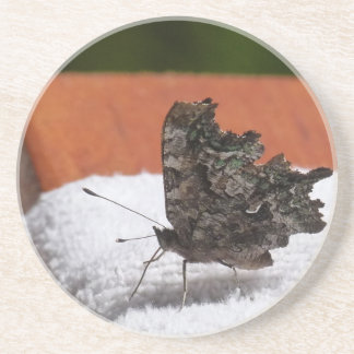 Dark Camouflage Butterfly Coaster