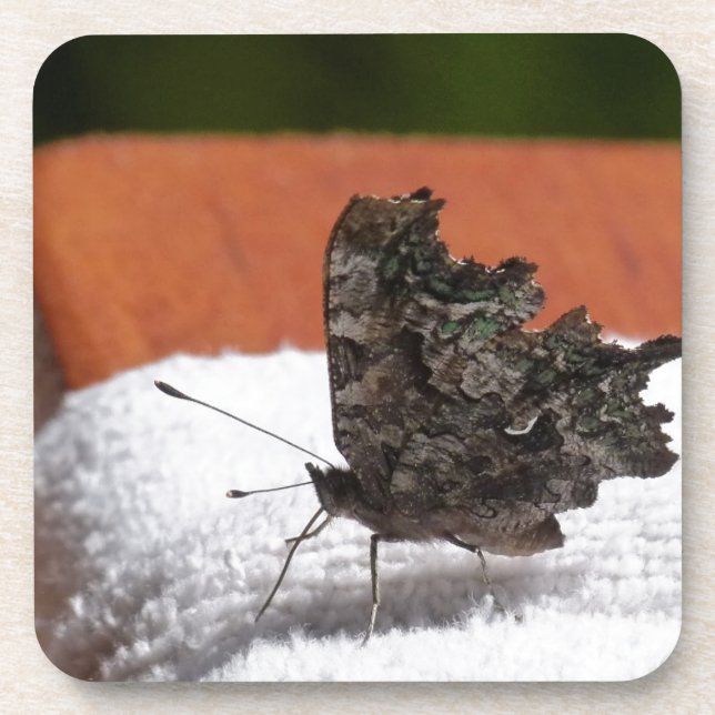 Dark Camouflage Butterfly Coaster (Front)
