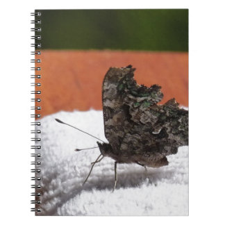 Dark Camouflage Butterfly Spiral Notebook