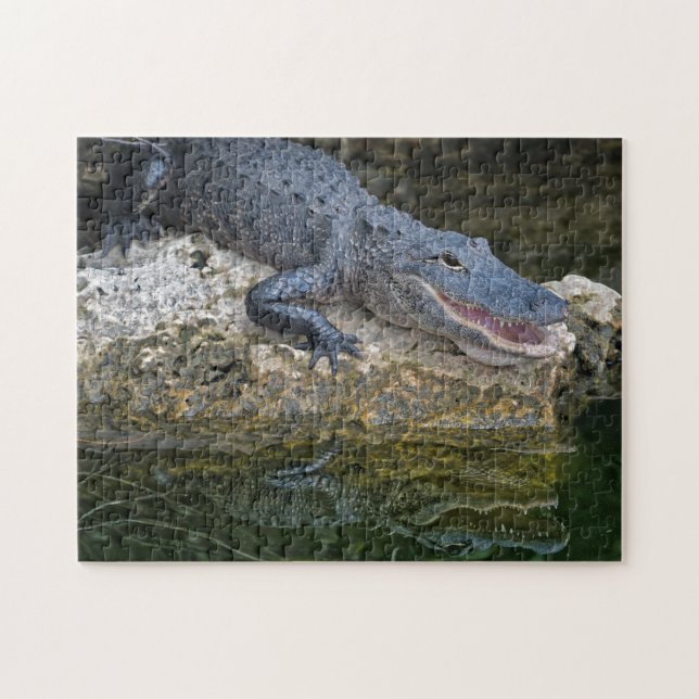 Dark Crocodile with Clear Reflection in Water Jigsaw Puzzle (Horizontal)