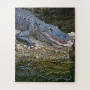 Dark Crocodile with Clear Reflection in Water Jigsaw Puzzle