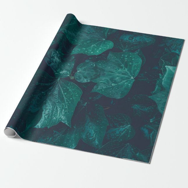 Dark emerald green ivy leaves water drops wrapping paper (Unrolled)