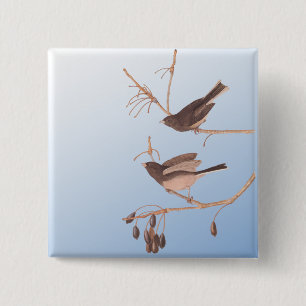 Dark-Eyed Junco Audubon Snow Birds on Bare Branch 15 Cm Square Badge