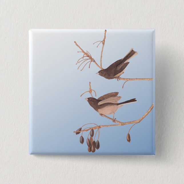 Dark-Eyed Junco Audubon Snow Birds on Bare Branch 15 Cm Square Badge (Front)