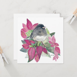 Dark Eyed Junco Bird Card