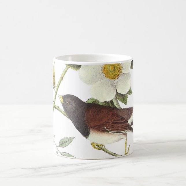 Dark-eyed Junco by Audubon Coffee Mug (Center)