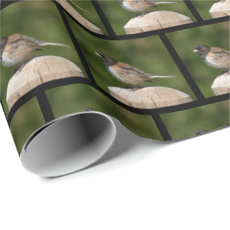 Dark-eyed Junco - Fine Art Bird Photography Wrapping Paper