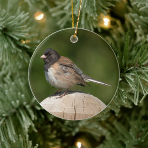 Dark-eyed Junco Holiday Gift Ceramic Tree Decoration