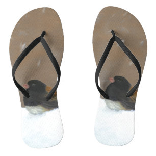 Dark-Eyed Junco Painting - Original Bird Art Jandals