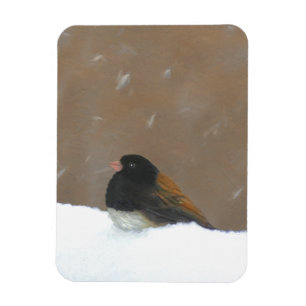 Dark-Eyed Junco Painting - Original Bird Art Magnet