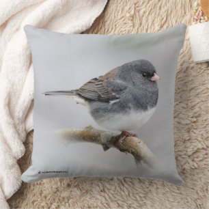 Dark-Eyed Junco Sparrow Songbird in Tree Cushion