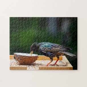 Dark Feathered Bird Eating Coconut Jigsaw Puzzle