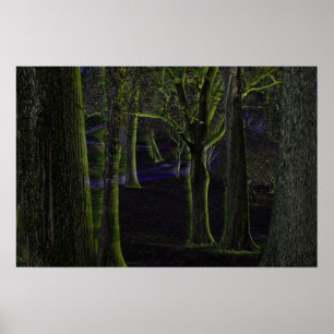 Dark Forest Poster