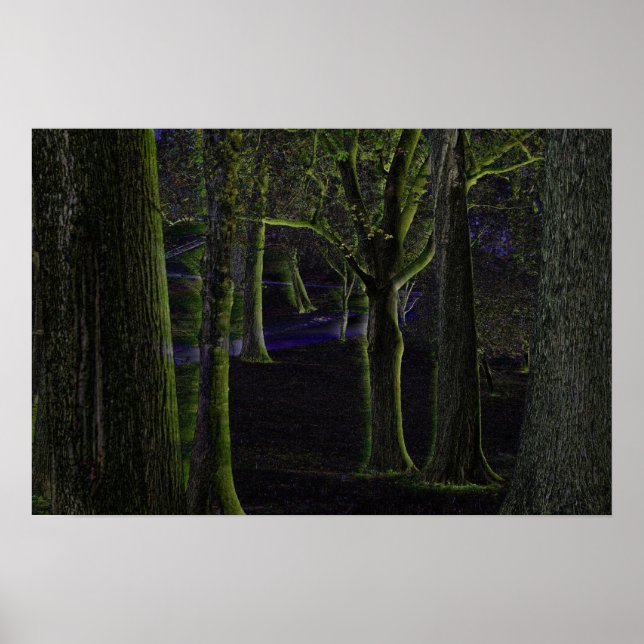 Dark Forest Poster (Front)