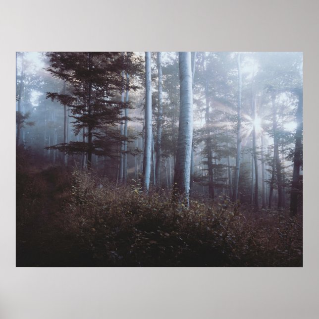 Dark Forest Print Poster Artwork Mural (Front)
