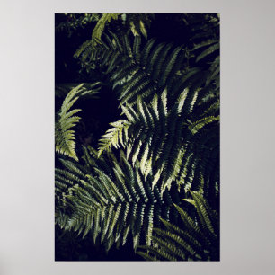 Dark Green Fern Leaves Botanic Poster