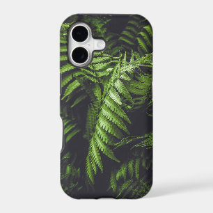 Dark Green Fern Leaves Moody Botanical Nature