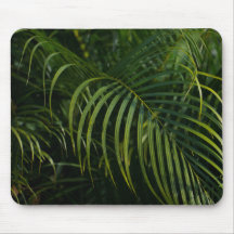 Dark green leaves, simple nature