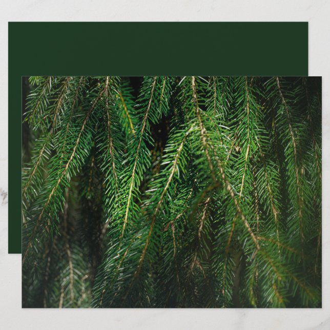 Dark green spruce tree, winter Scrapbook Paper (Front/Back)