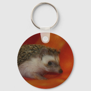 Dark hedgehog key ring