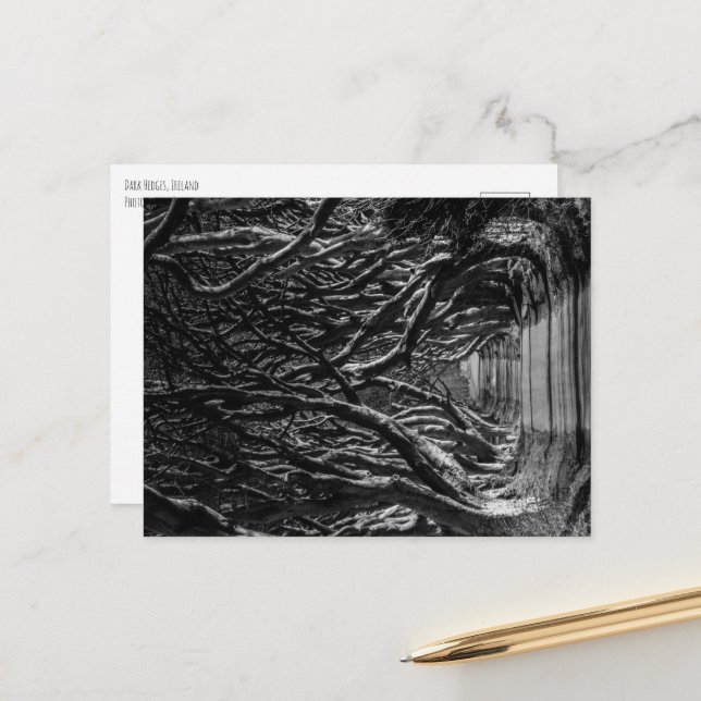 Dark Hedges Ireland Postcard (Front/Back In Situ)