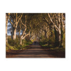 Dark Hedges Ireland