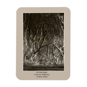 Dark Hedges Magnet