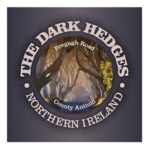 Dark Hedges (rd) Poster