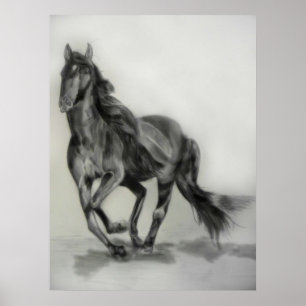 dark horse drawing poster