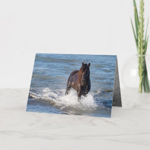 Dark Horse Runs in the Water Greeting Card